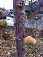 Foto 1.webp