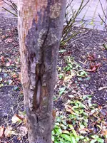 Foto 3.webp