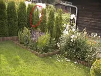 Garten4jahr7.webp