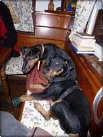 Mac und Branko.webp