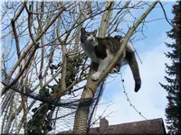 salem06.webp