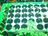 k-BILD0558.webp