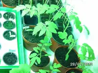 k-BILD0559.webp