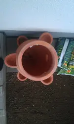 Kräutertopf von oben.webp