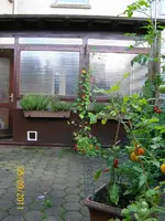 Kapu Tomi 100_0714 (Medium).webp