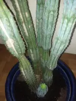 IMG_20120306_011050.webp