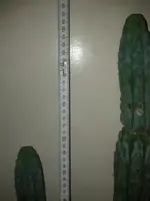 IMG_20120306_011310.webp