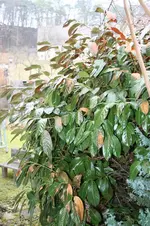 IMG_5430.webp