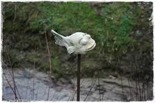 fischi.webp
