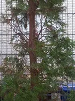 2012-03-06 08.47.59.webp