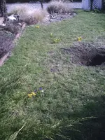 Krokusse.06.03.2012.webp