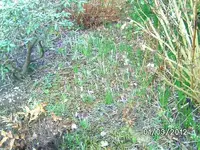 k-BILD0563.webp