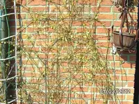 k-BILD0566.webp
