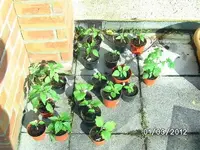 k-BILD0567.webp