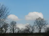 Wolkig004.webp