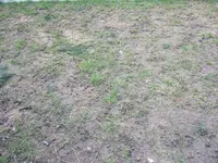 DSCF1854.webp