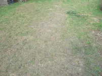 DSCF1855.webp