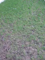 DSCF1856.webp