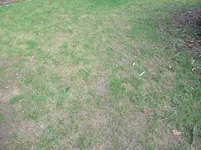 DSCF1857.webp