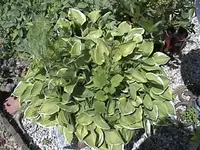DSC00022.webp