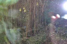 Suchbild.webp