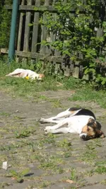 Tinchens Fimmelkiste 002.webp