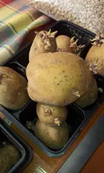 20120306_134259.webp