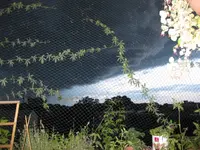 Gewitter.webp