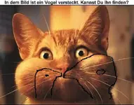 SUCHBILD ei,ei geier.webp