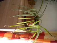 DSCN0814.webp
