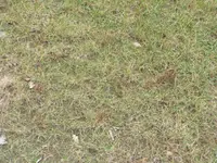 P1080621.webp