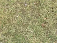 P1080623.webp