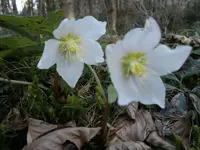 06032012637.webp