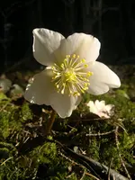 06032012642.webp