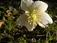 06032012641.webp