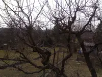 DSC0000000.webp