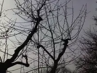 DSC0000001.webp
