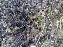 DSC0000002.webp