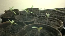 2012-03-08-005.webp