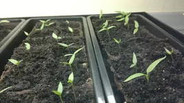 2012-03-08-006.webp
