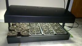 2012-03-08-007.webp