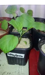 20120308_093110.webp