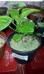 20120308_093136.webp
