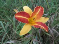 100_1230.webp 100_1230.webp
