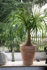 IMG_1041.webp