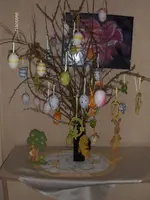 HPIM7271.webp