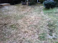 IMG_3747.webp