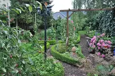 Mulchweg.webp