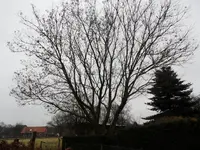 SAM_0188.webp