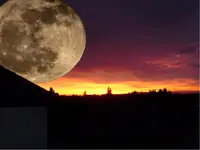 moon.webp